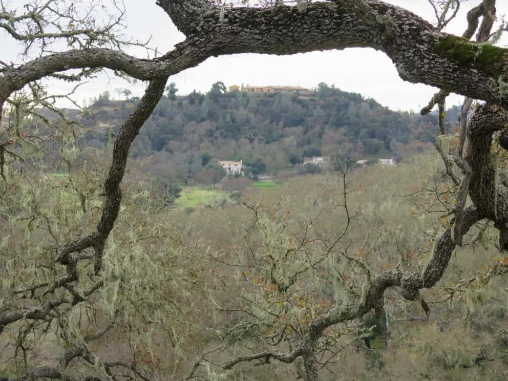 View at the top. 