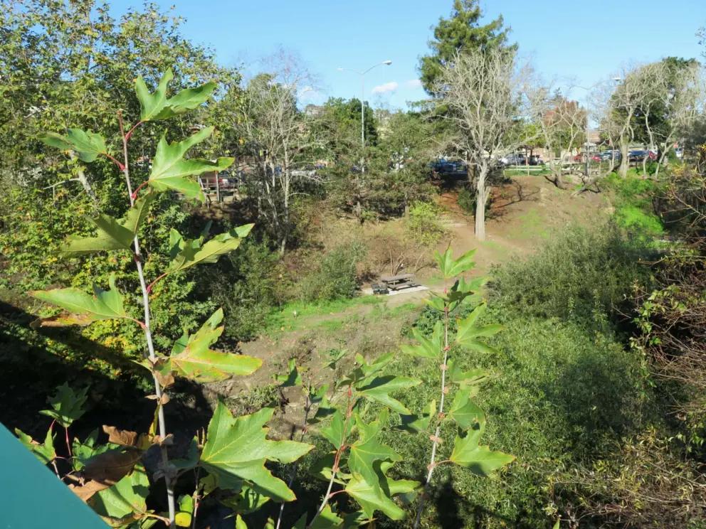 Looking down at the creek from Bridge Street.