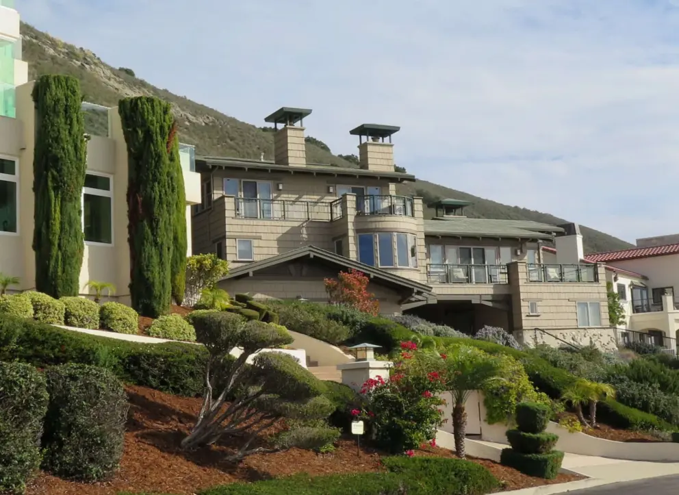 Beach houses with topiary bushes. 