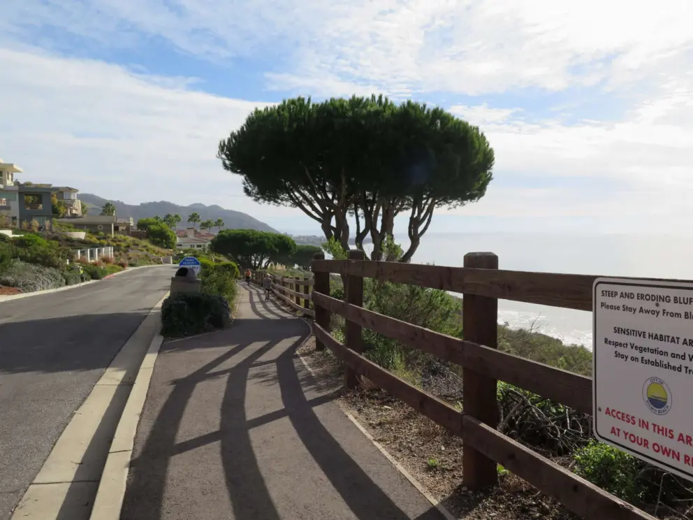 The path once it reaches the top, alongside Bluff Drive. 