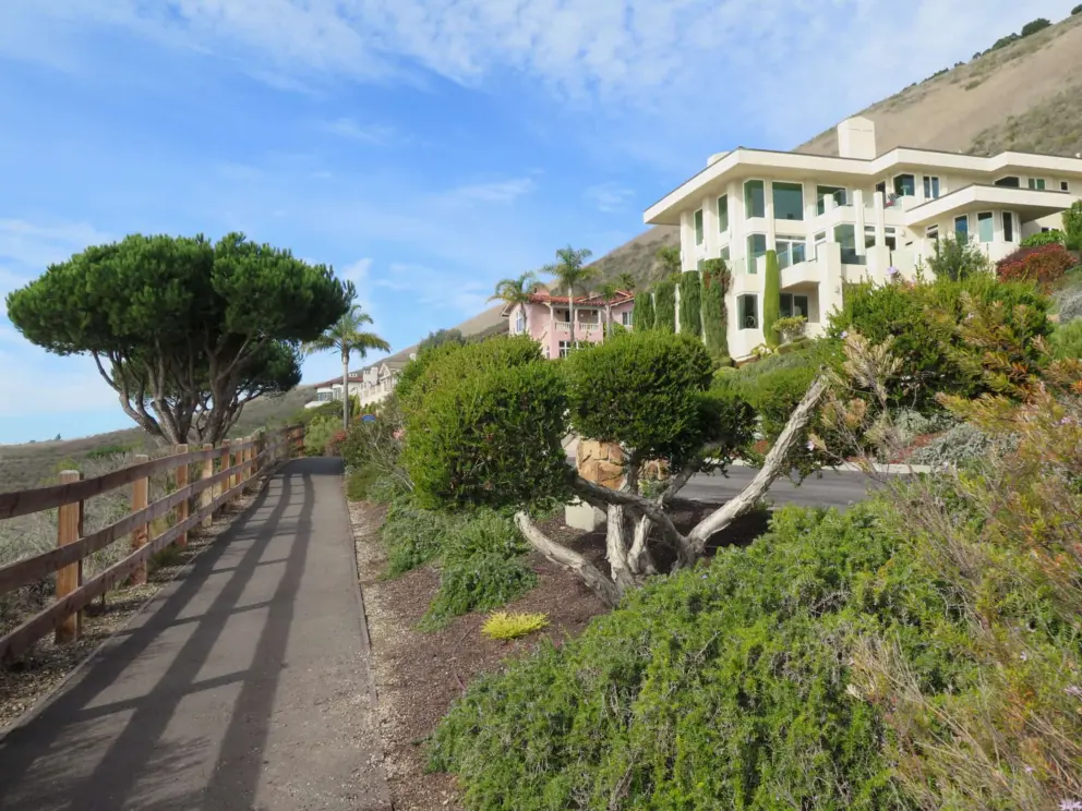 The path, with trees and shrubs bordering, and mansions above. 