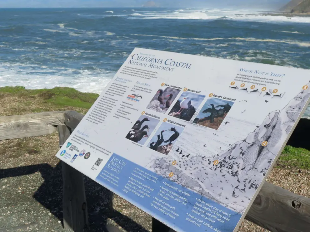 Sign showing you the birds you might see: Black Oystercatcher, Western Gull, Brandt's Cormorant, Pigeon Guillemot, and Pelagic Cormorant. 