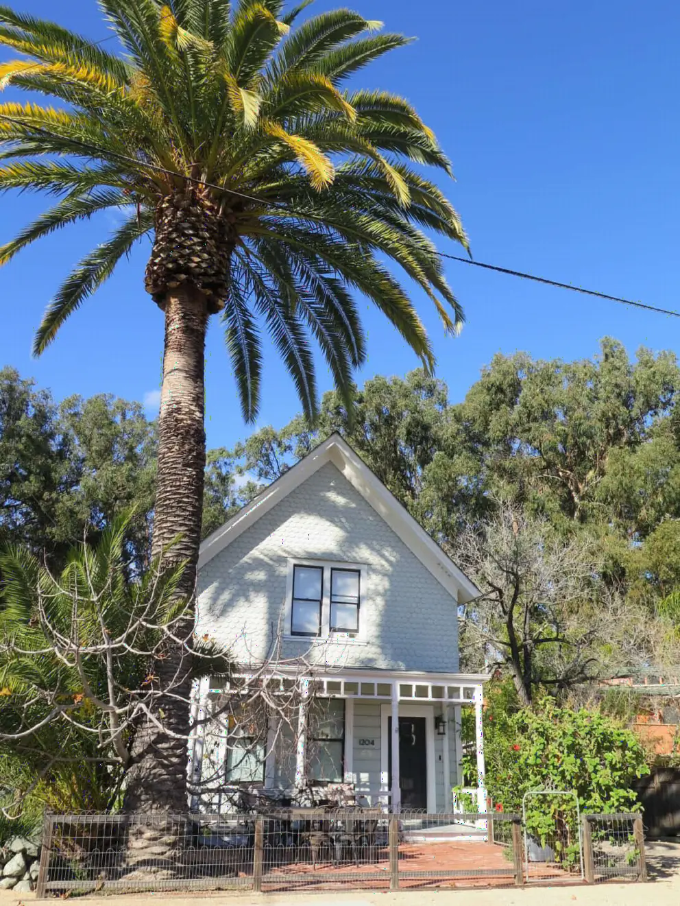 An adorable historic house and canary palm, at 1204 Iris Street, a short walk from the northern dead end of the Railroad Bike Path. 