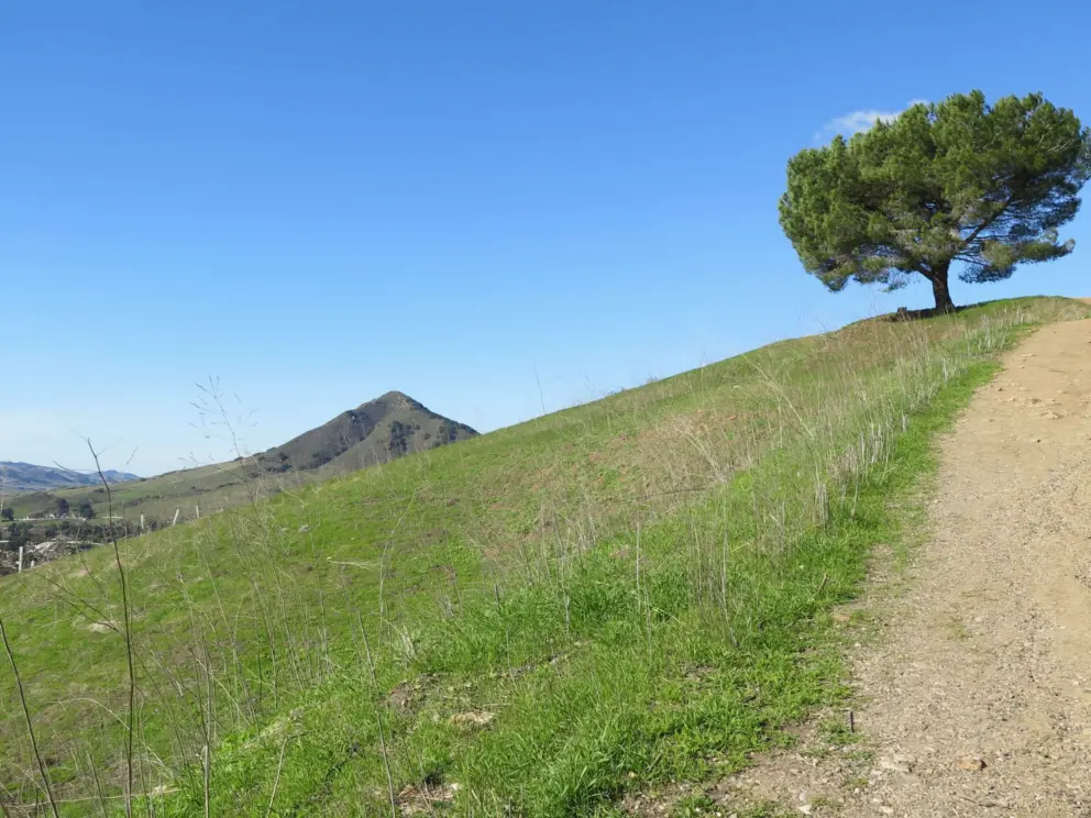 The steep path up to Terrace Hill.