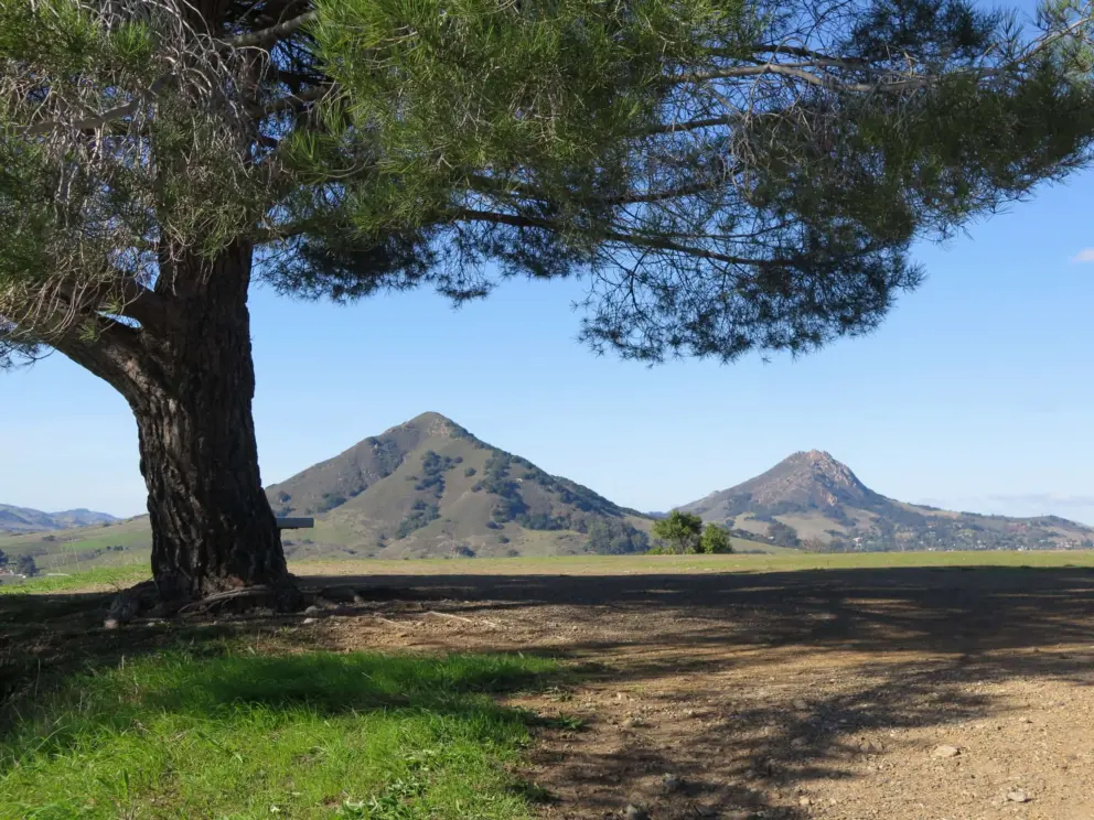 A shady spot to sit under a tree, with awesome views!