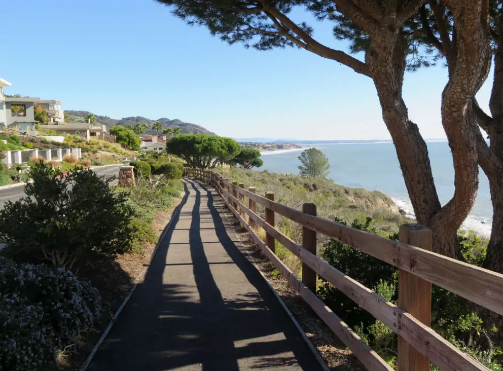 The trail on a sunny January day.