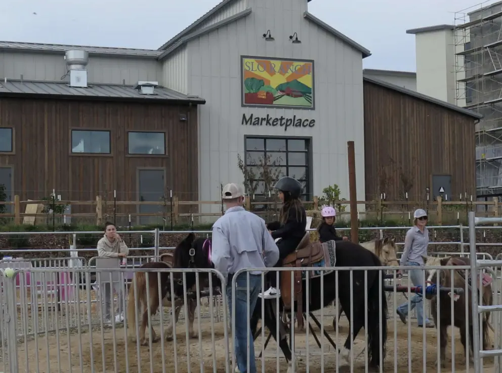 Pony rides at the Winter Wonder event.