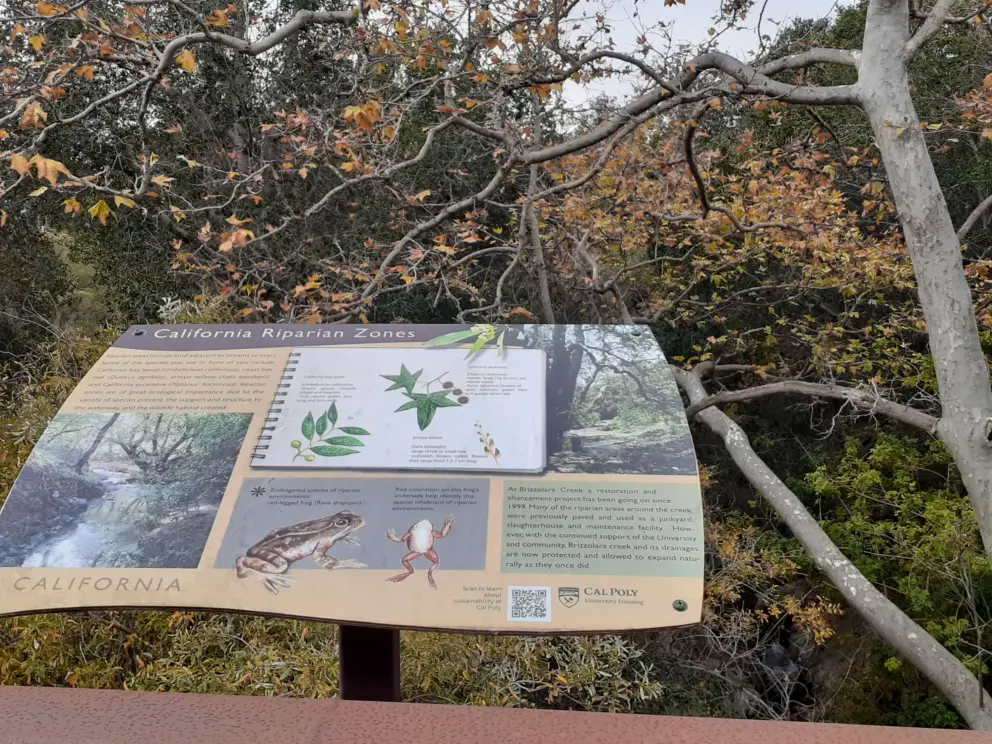 Educational plaque about red-legged frog and other life at Brizzolara Creek. 