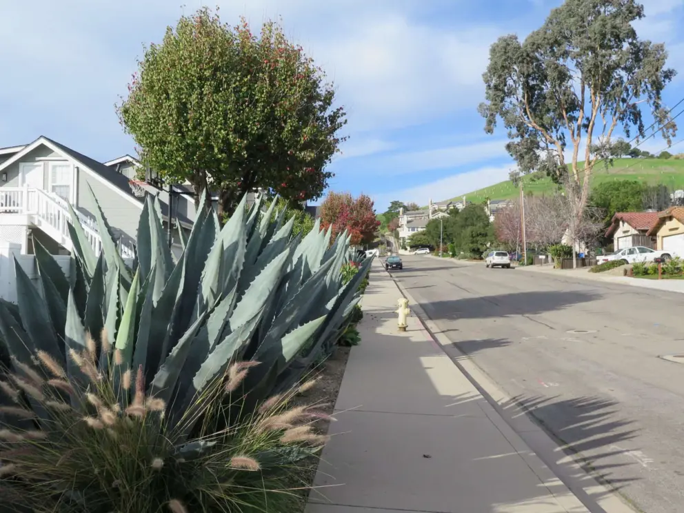 Bushnell Street is a nice area to explore from the bike path, with views of Terrace Hil.
