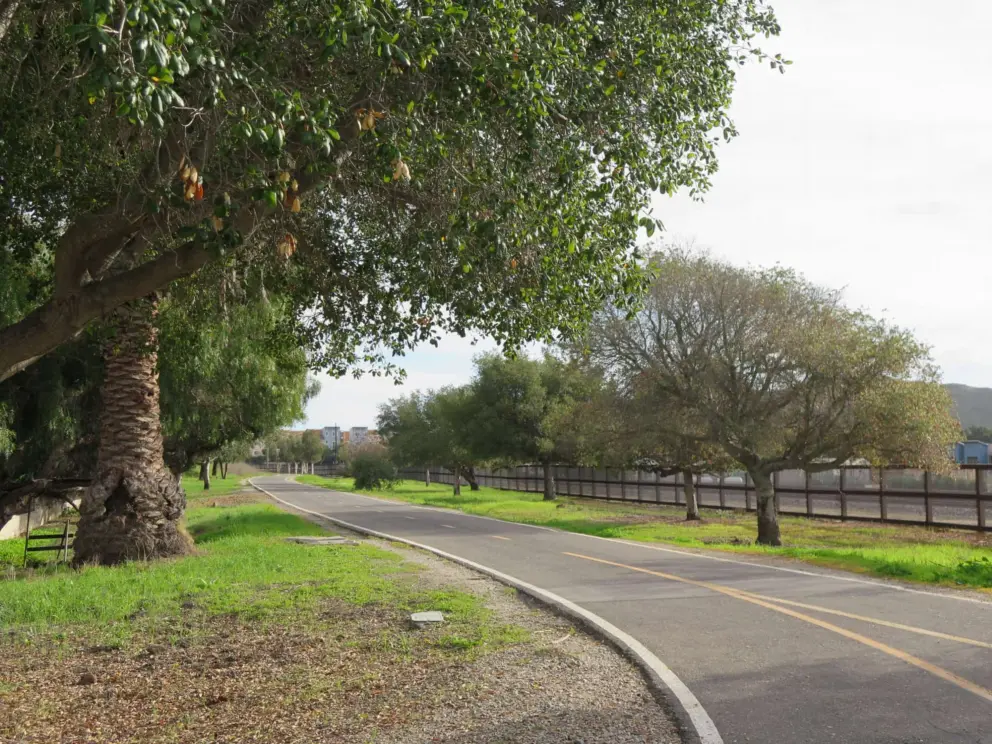 The bike path in January.