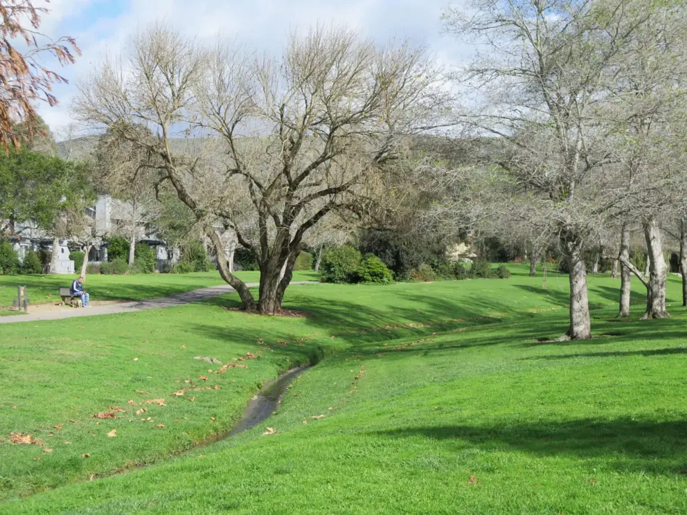 Stream and path with benches. 