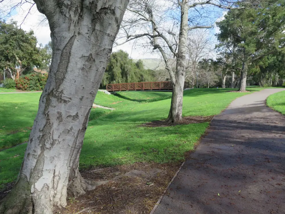 The path winds along the stream, and a bridge crosses over. 