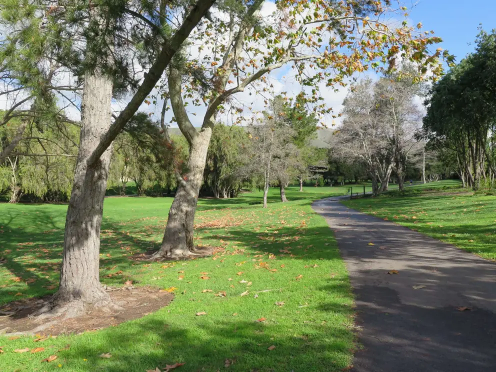 The path with green all around. 
