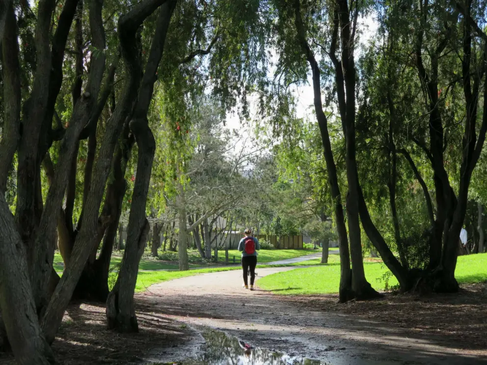 Someone walking the path.