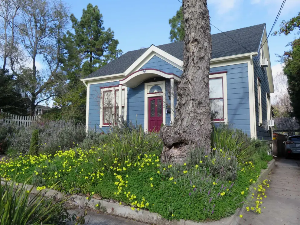 What a sweet sight! A blue house with yellow flowers overflowing its yard. 