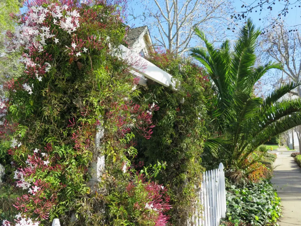 The sweet scent of flowers as you walk along.