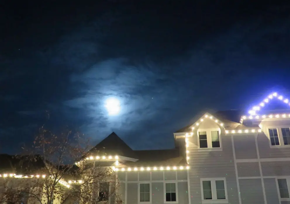 Vine Street lit up for Christmas, and the moon showing up too!
