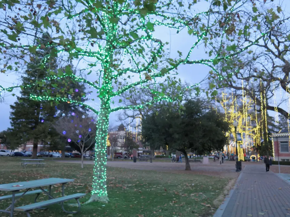 Green lights and elegant hanging lights at Downtown City Park.
