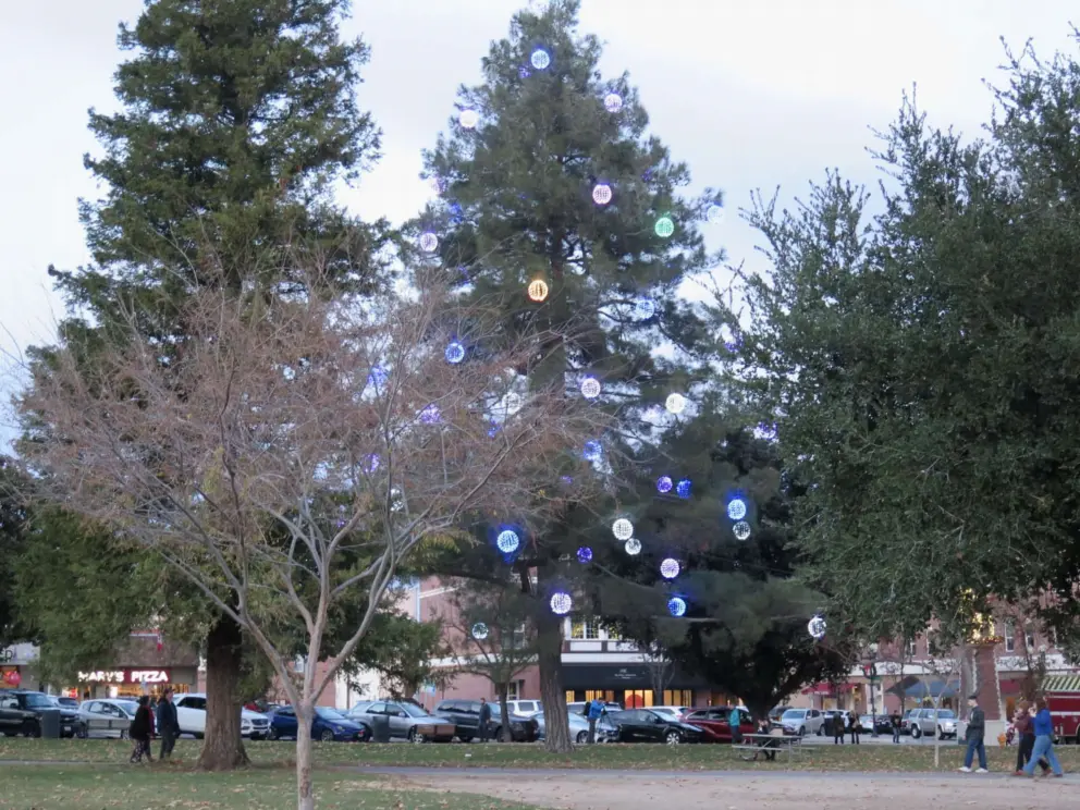 Sphere in a tall tree at Downtown City Park.
