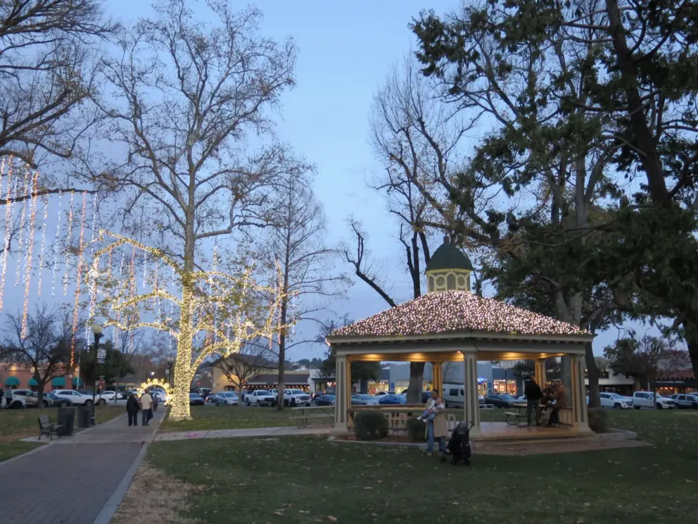 Gazebo with twinkling lights, and tall, tall trees lit up.