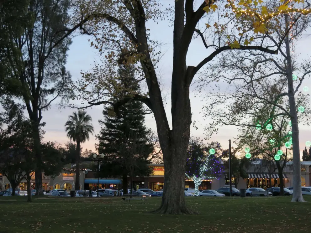 Sunset at Downtown City Park.