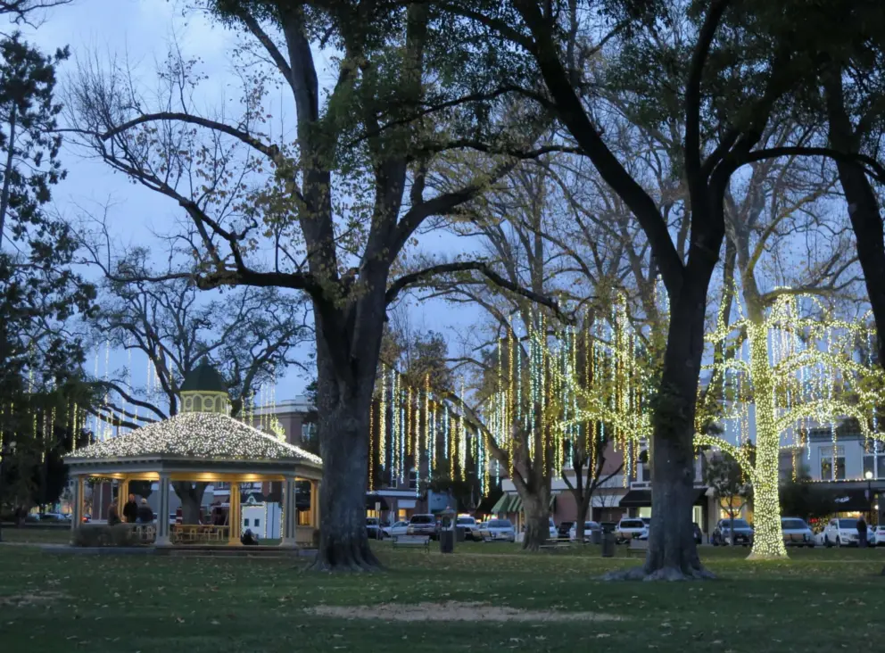 Lights galore in Downtown City Park!