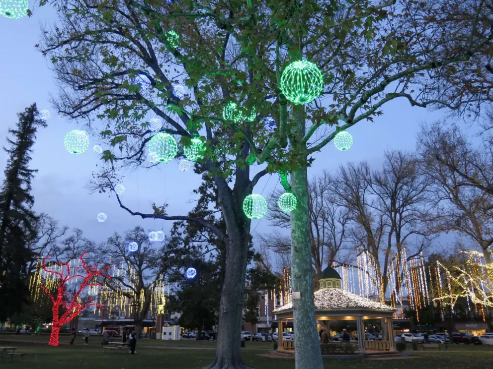 Green spheres, a red tree, and golden lights.