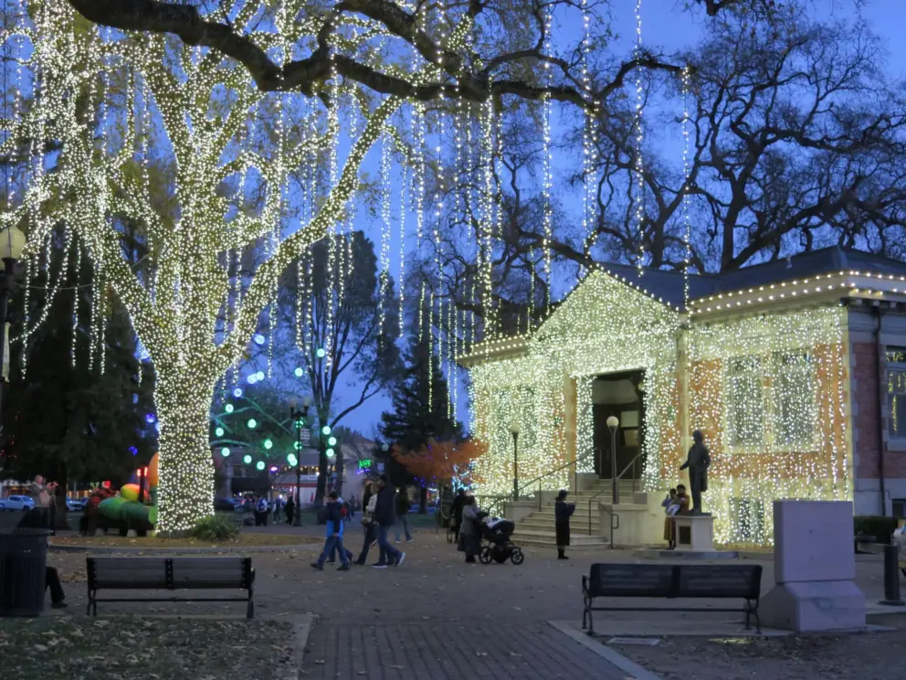 Paso Robles History Museum lit up in twinkling lights and a huge tree with golden lights, in Downtown City Park. 