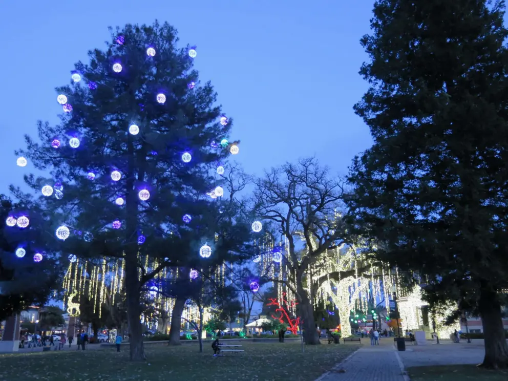 Blue spheres on a nice, fat, tall tree. 