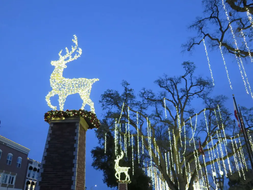 Deer atop columns and lights in trees at Downtown City Park. 
