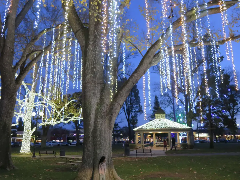 See how tall this tree is compared to the little girl!