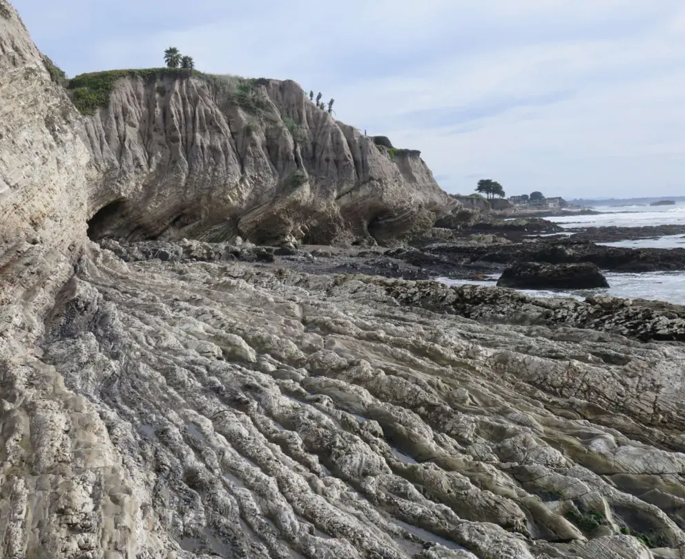 Rock formations below the park. Take the path that leads downhill, where the surfers get in at St Ann's surf break. 