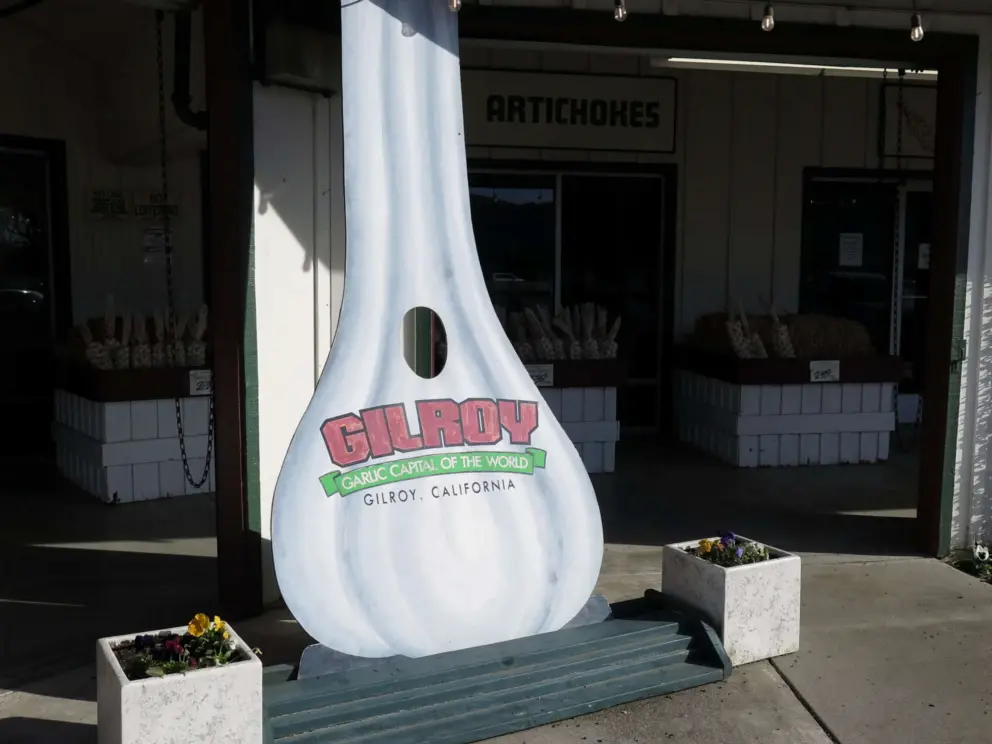 Kids can put their face in the giant garlic picture!