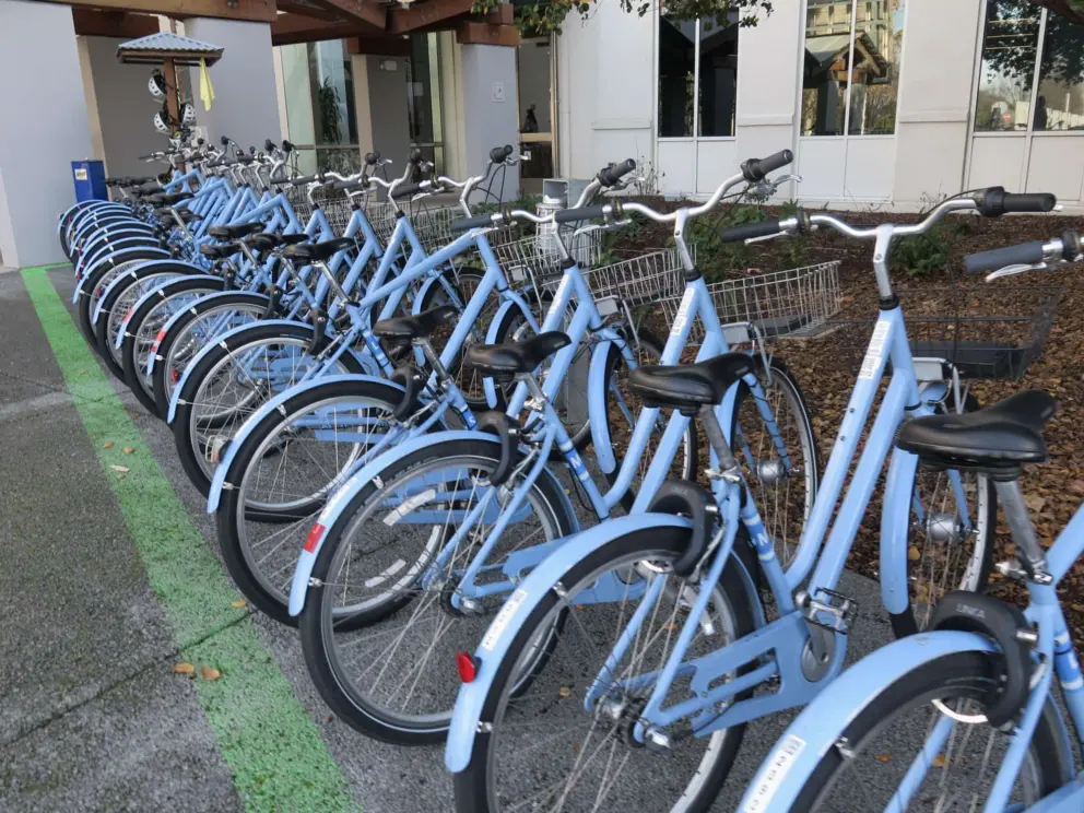 Bikes- only employees can ride them. There is a great bike path through the campus. 