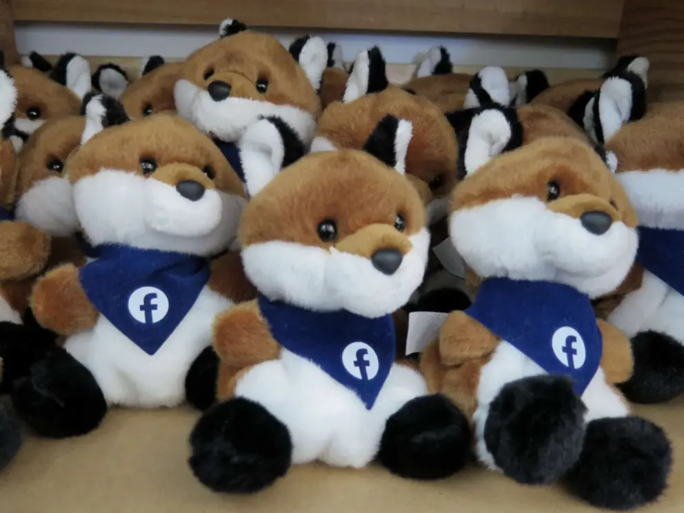 Facebook fox. 