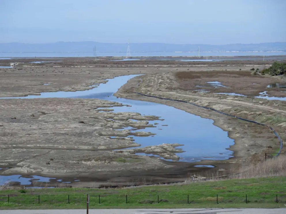 The salt marsh is a bit dry. You can see it from the rooftop garden. 