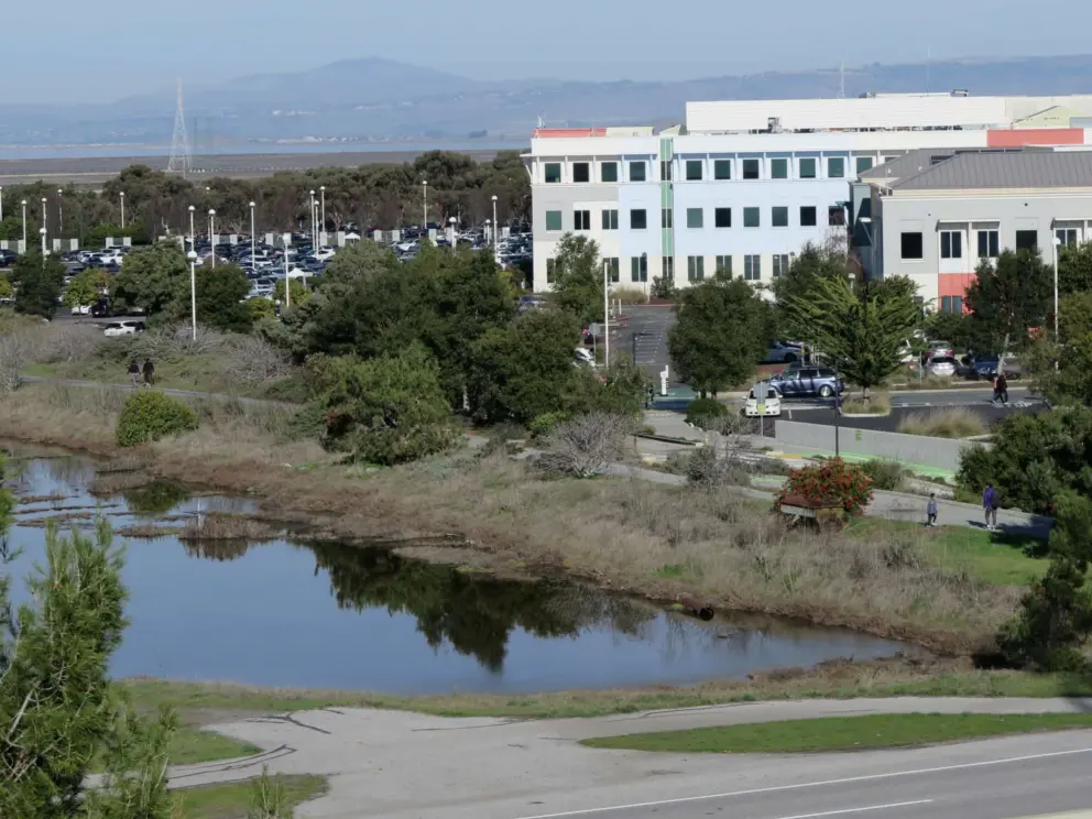 View of the Classic campus from the rooftop garden of the Bayfront campus. 