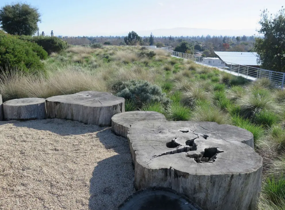 Stepping stones made of tree trunks in the rooftop garden. 