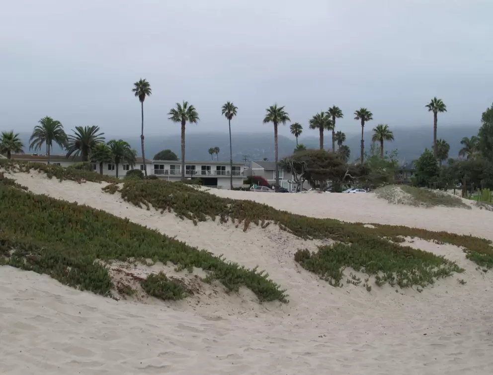 Looking past the dunes toward Linden Avenue.