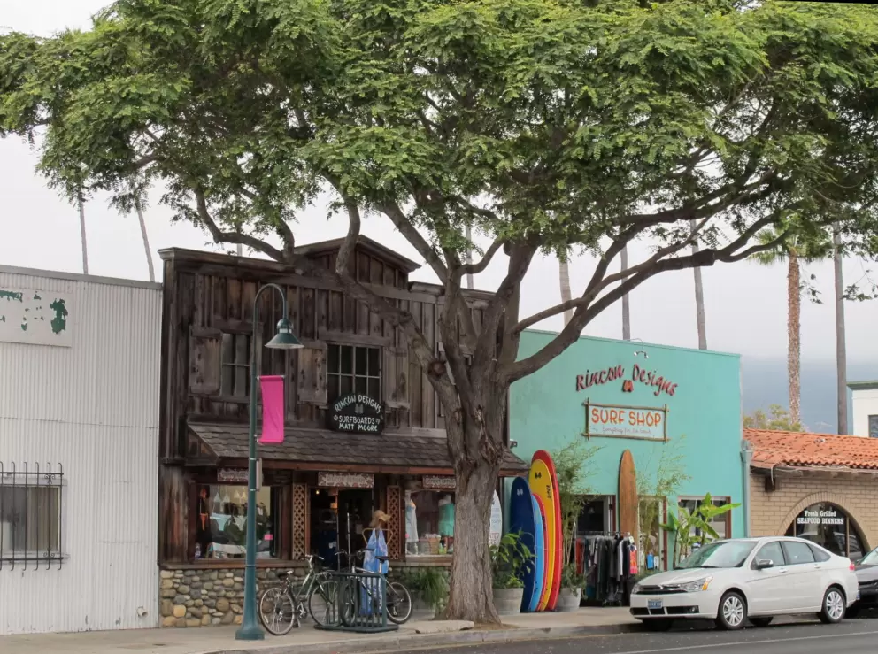 Surf shop and beautiful tree near the train station and beach.