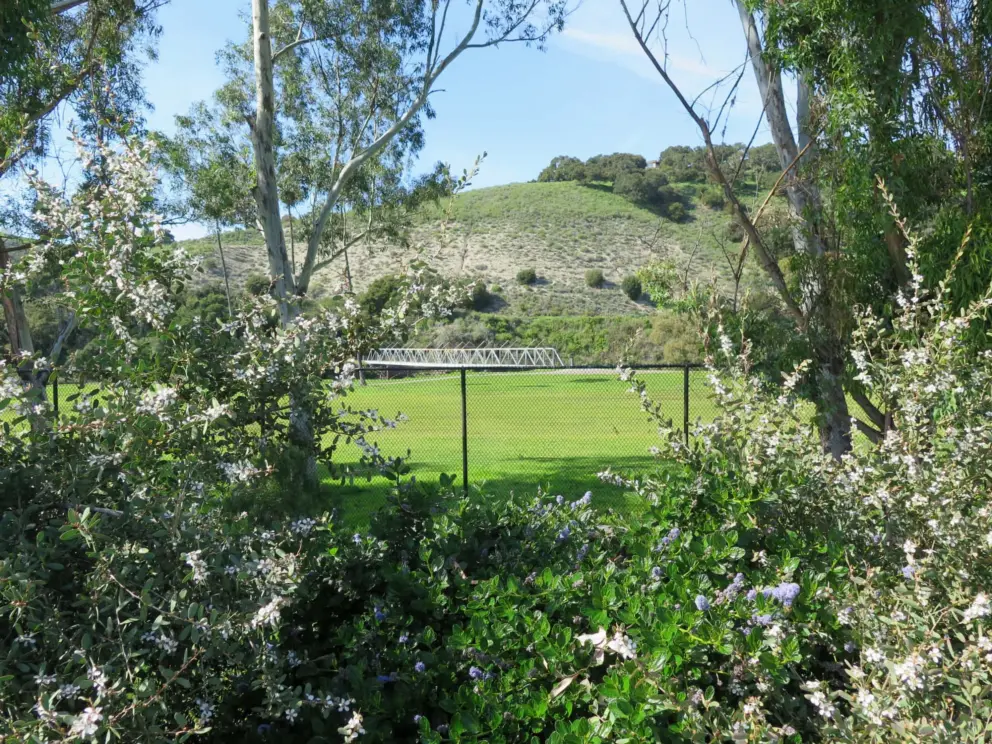 Flowers and golf course views, where the trail ends in Avila Beach. 