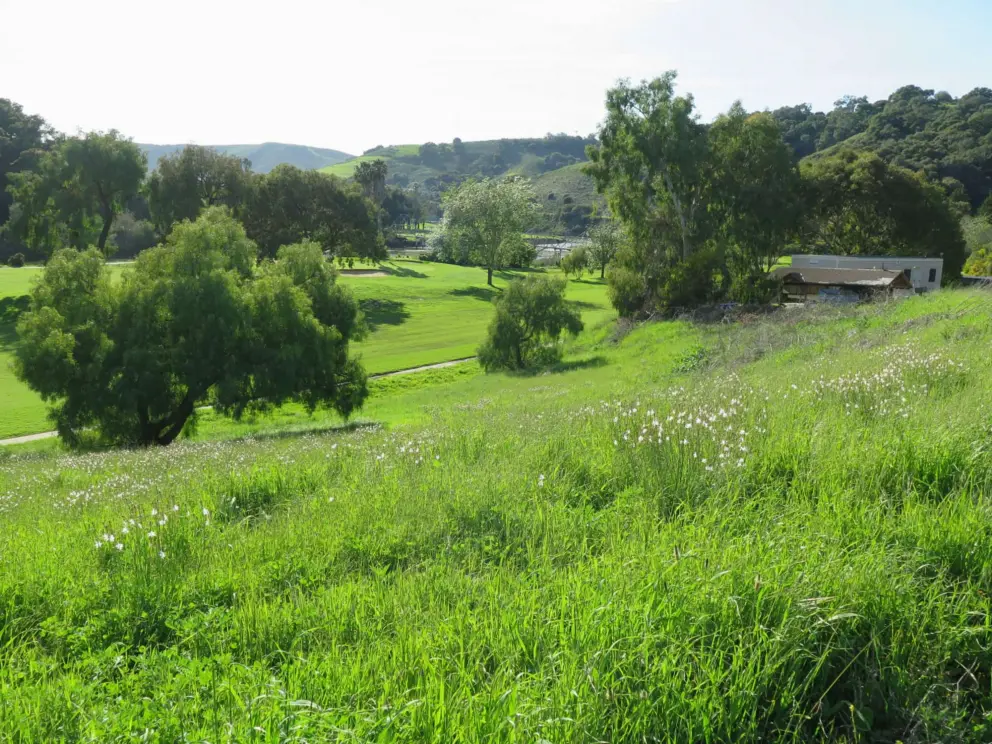 Green, hilly landscape at the end of the trail, near Avila. 