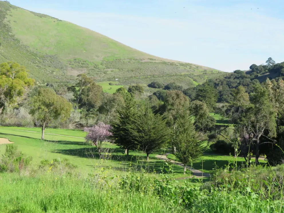 The lovely green scenery all around you.