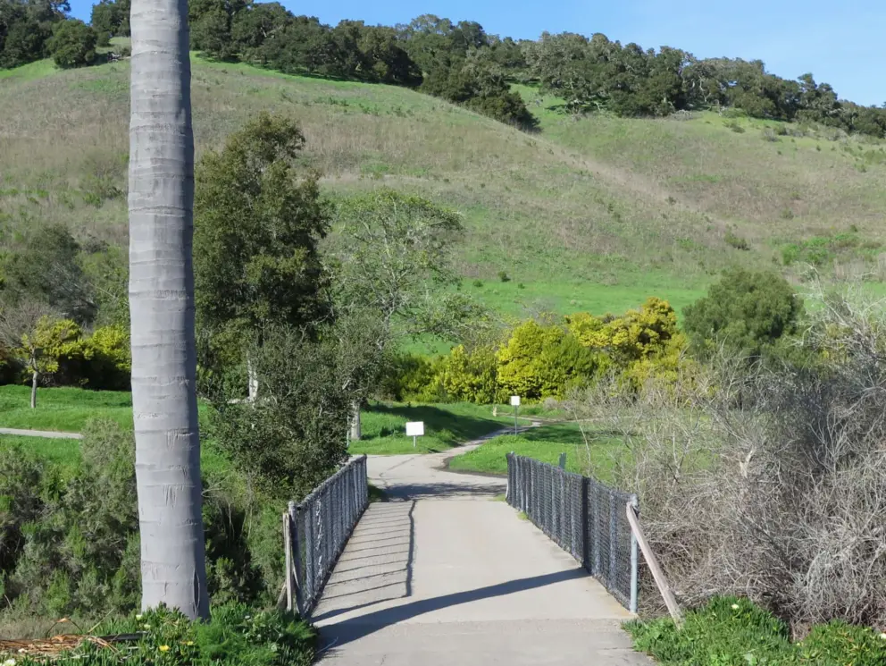 Crossing, and green hill.