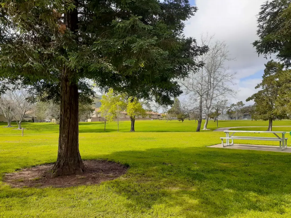 Pretty day in March at Meadow Park. 