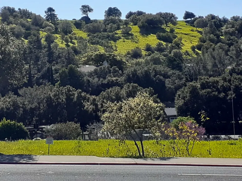 View of Terrace Hill from Johnson Ave. 