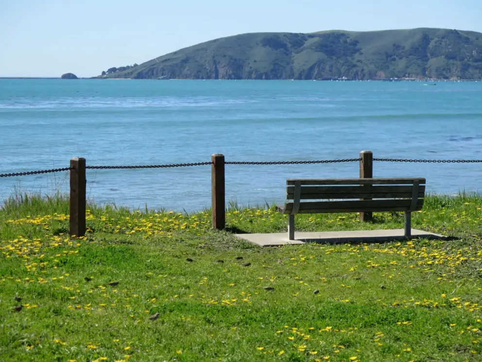 A bench with a view of Avila's headland, at South Palisades Park. 