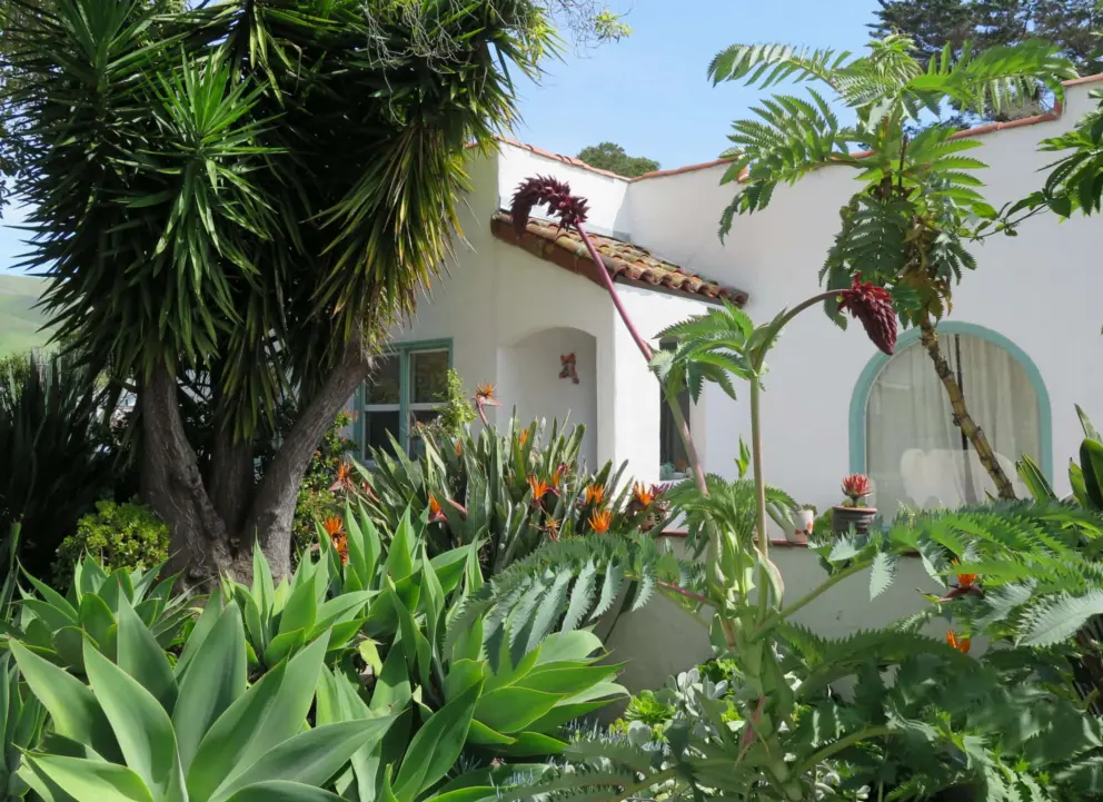 Spanish-style house and tropical garden. 