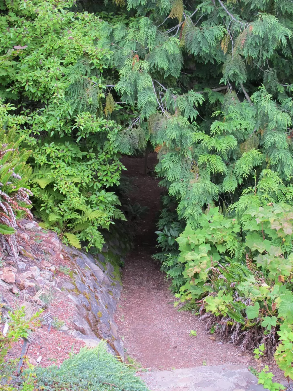 Kids love to walk along imaginative pathways like this!