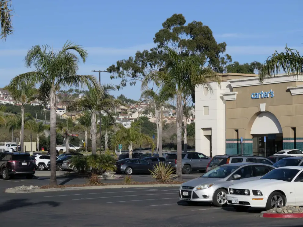 Carter's and beautiful hills and eucalyptus.